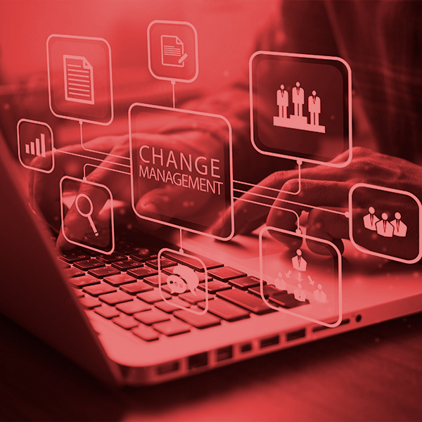 Curso Gratis en Transformación Personal y Gestión del Cambio Organizacional