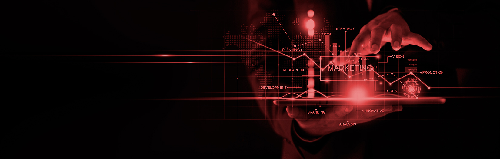 Curso Universitario en Marketing para las organizaciones del siglo XXI